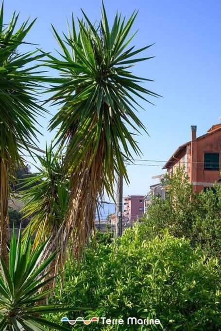 Apartmán Nettuno, Terremarine Monterosso al Mare Exteriér fotografie